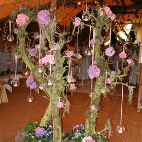 fwthumbFloor standing woodland.jpg